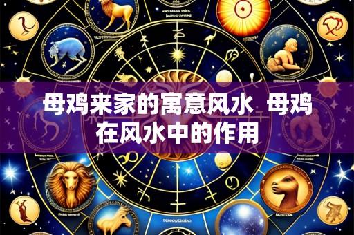 母鸡来家的寓意风水 母鸡在风水中的作用