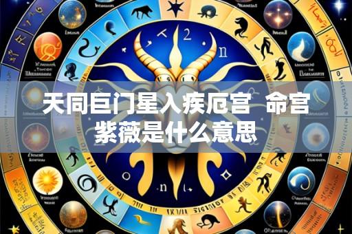 天同巨门星入疾厄宫 命宫紫薇是什么意思
