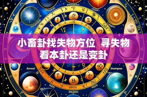 小畜卦找失物方位 寻失物看本卦还是变卦