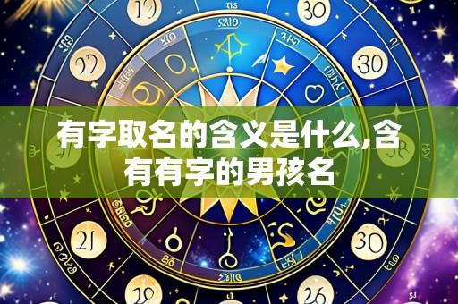 有字取名的含义是什么,含有有字的男孩名