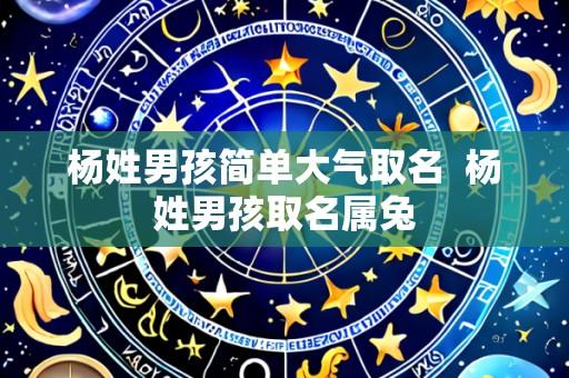 杨姓男孩简单大气取名 杨姓男孩取名属兔