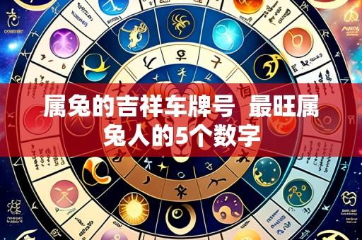 属兔的吉祥车牌号 最旺属兔人的5个数字