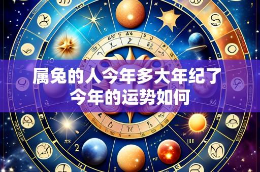 属兔的人今年多大年纪了 今年的运势如何