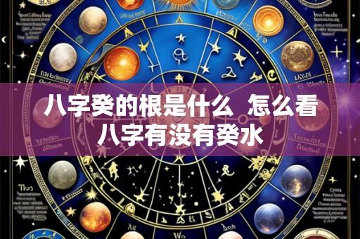 八字癸的根是什么  怎么看八字有没有癸水