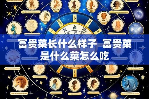 富贵菜长什么样子 富贵菜是什么菜怎么吃