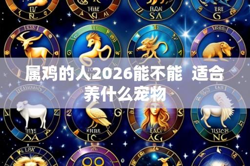 属鸡的人2026能不能 适合养什么宠物