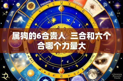 属狗的6合贵人  三合和六个合哪个力量大