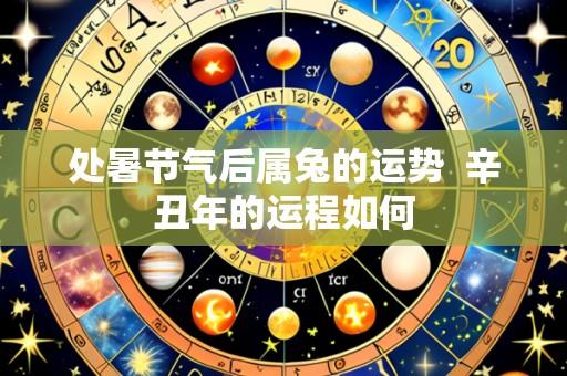 处暑节气后属兔的运势  辛丑年的运程如何