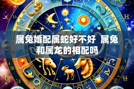 属兔婚配属蛇好不好 属兔和属龙的相配吗