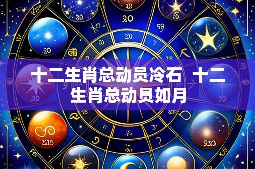 十二生肖总动员冷石 十二生肖总动员如月