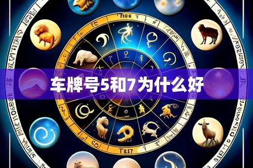 车牌号5和7为什么好