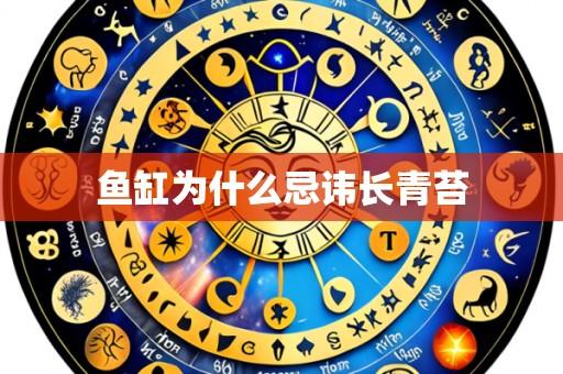 鱼缸为什么忌讳长青苔