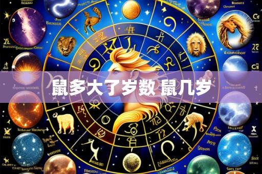 鼠多大了岁数 鼠几岁