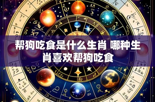 帮狗吃食是什么生肖 哪种生肖喜欢帮狗吃食