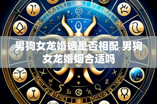 男狗女龙婚姻是否相配 男狗女龙婚姻合适吗