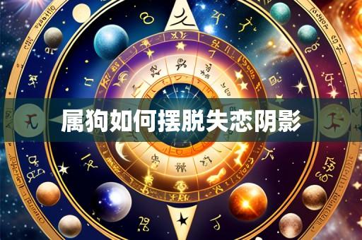 属狗如何摆脱失恋阴影