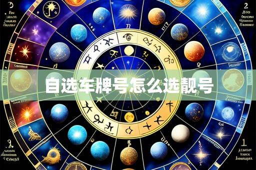 自选车牌号怎么选靓号