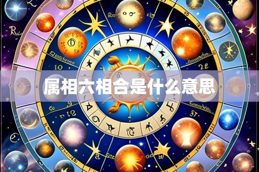 属相六相合是什么意思