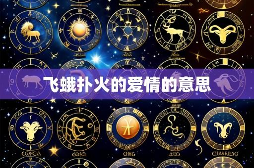 飞蛾扑火的爱情的意思