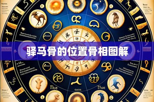 驿马骨的位置骨相图解