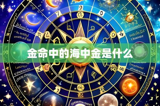 金命中的海中金是什么