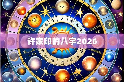 许家印的八字2026