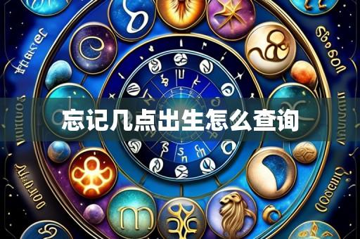 忘记几点出生怎么查询