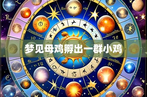 梦见母鸡孵出一群小鸡