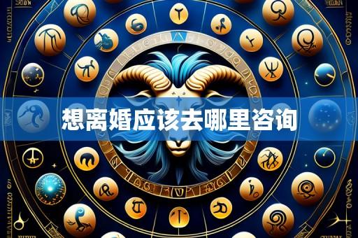 想离婚应该去哪里咨询