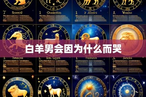 白羊男会因为什么而哭