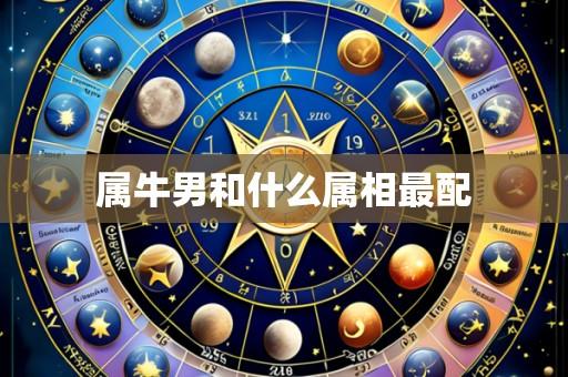 属牛男和什么属相最配