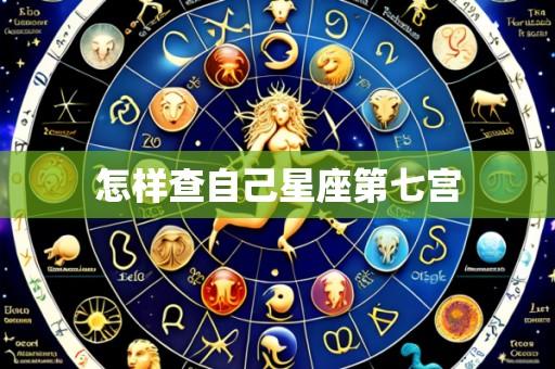 怎样查自己星座第七宫