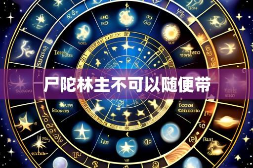 尸陀林主不可以随便带