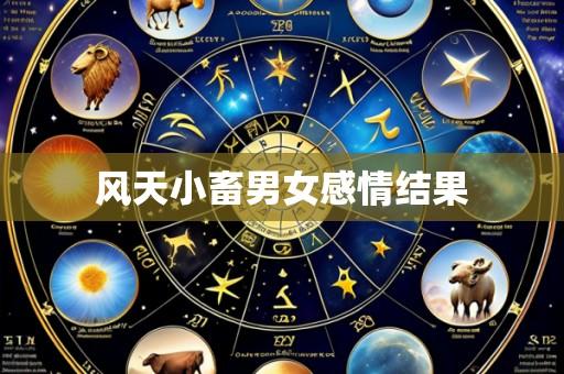风天小畜男女感情结果