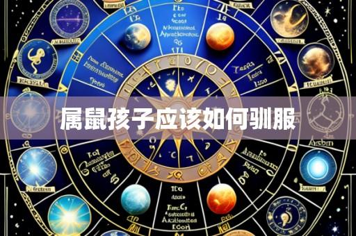 属鼠孩子应该如何驯服
