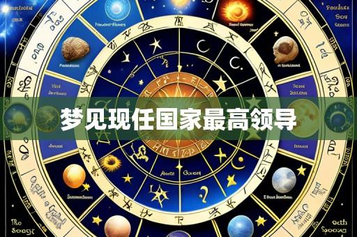 梦见现任国家最高领导