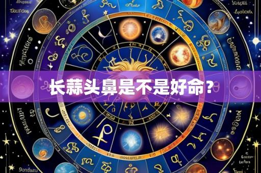 长蒜头鼻是不是好命?