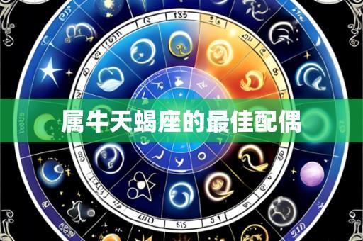属牛天蝎座的最佳配偶