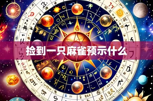 捡到一只麻雀预示什么