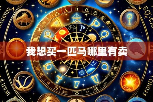 我想买一匹马哪里有卖