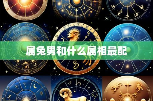 属兔男和什么属相最配