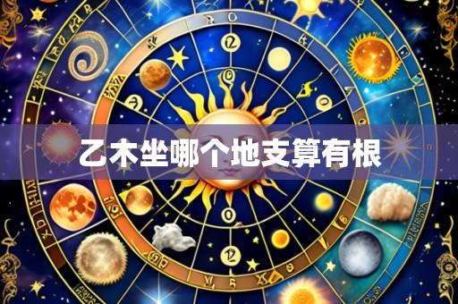 乙木坐哪个地支算有根