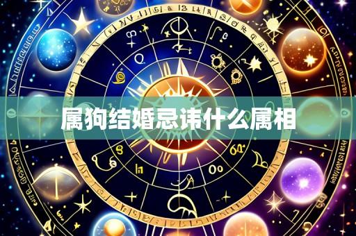 属狗结婚忌讳什么属相