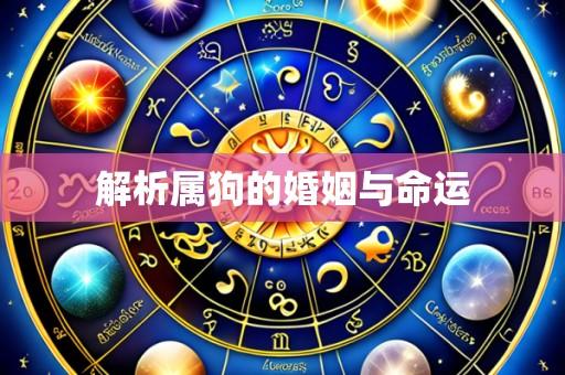 解析属狗的婚姻与命运