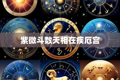 紫微斗数天相在疾厄宫