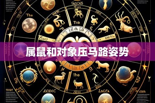 属鼠和对象压马路姿势