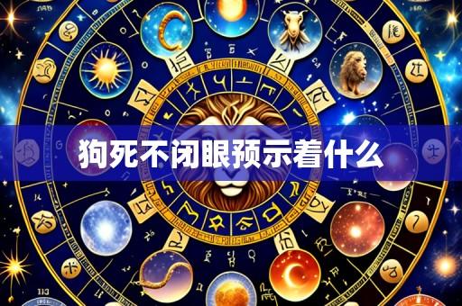 狗死不闭眼预示着什么