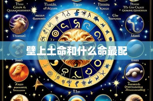 壁上土命和什么命最配