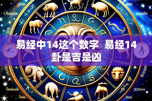 易经中14这个数字  易经14卦是吉是凶