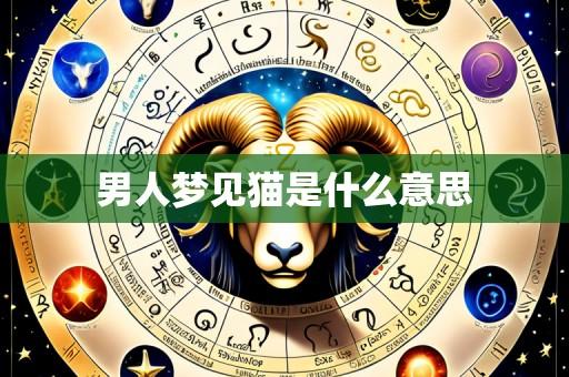 男人梦见猫是什么意思